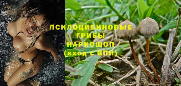 стаф Гусев