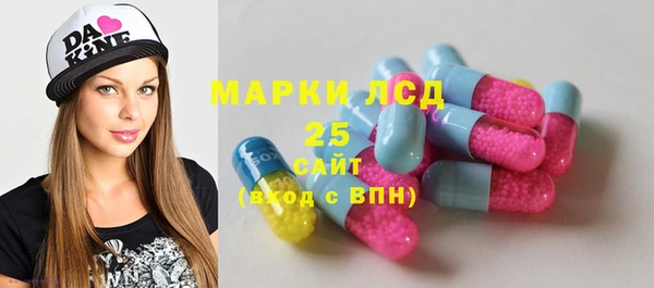 стаф Гусев