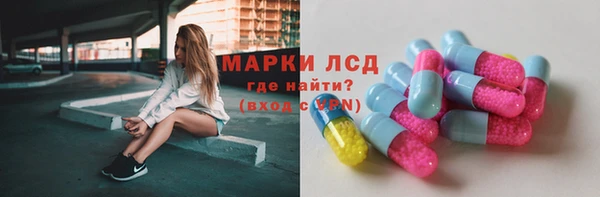 стаф Гусев