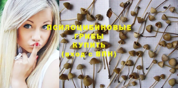 первитин Гусиноозёрск
