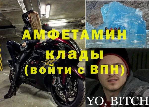 стаф Гусев