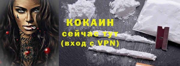 стаф Гусев