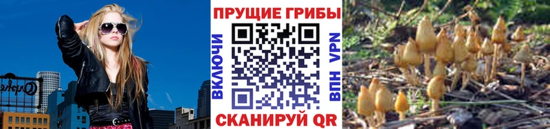 купить наркотик  Таганрог  Галлюциногенные грибы ЛСД 
